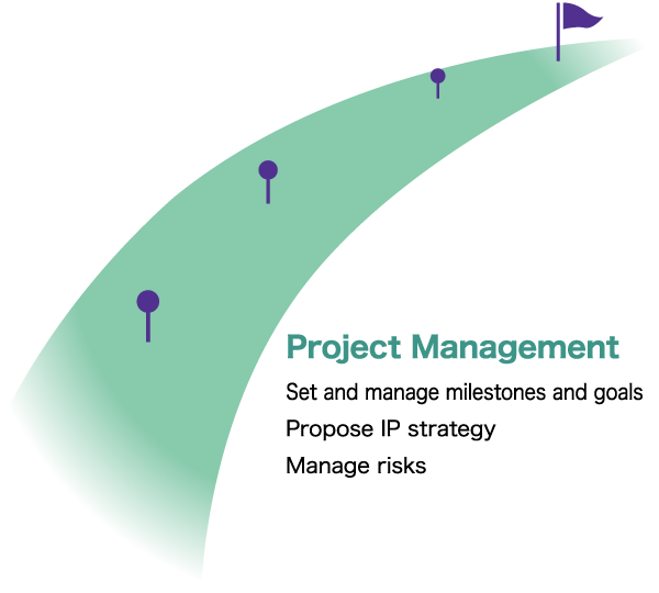 Project management by a specialist team